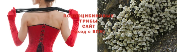 mdpv Аркадак