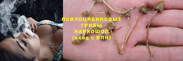 mdpv Аркадак